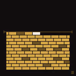 101