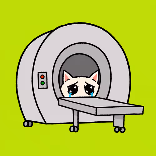 CATSCAN