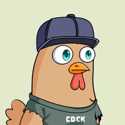 Floks #1798
