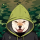 101