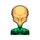 4037