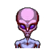 4445