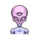 2592