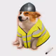 4552