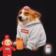 3233
