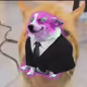 8025