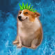 4804