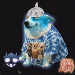 Cash Dogs #4994