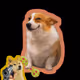 5950