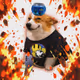 5688