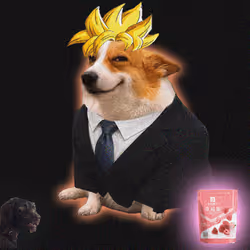 Cash Dogs #8213