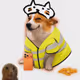 3350