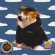 Cash Dogs #614