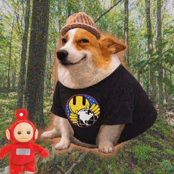Cash Dogs #9826
