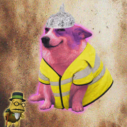 Cash Dogs #8668