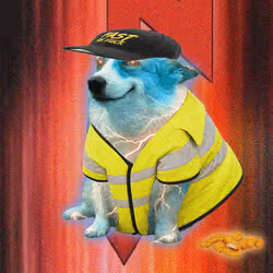Cash Dogs #6391