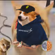 2805