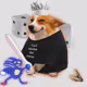 3764