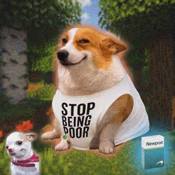 Cash Dogs #906