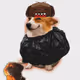 Cash Dogs #772
