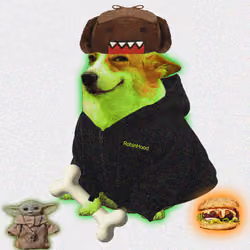 Cash Dogs #9661
