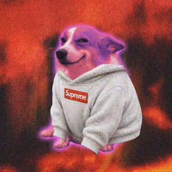 Cash Dogs #6746