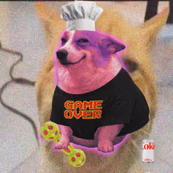 Cash Dogs #1678