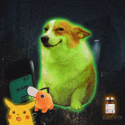 Cash Dogs #9058