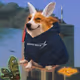 Cash Dogs #2304
