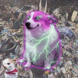 Cash Dogs #8919