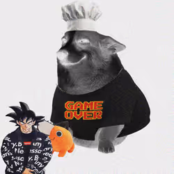 Cash Dogs #5773