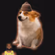 7243