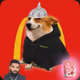 7666