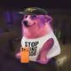 2563