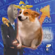 7427