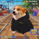 Cash Dogs #1184