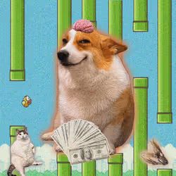Cash Dogs #2965