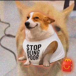 Cash Dogs #2539
