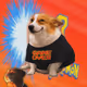 7113