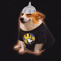 Cash Dogs #5158