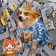Cash Dogs #670
