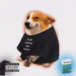 Cash Dogs #6031