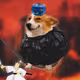 1288