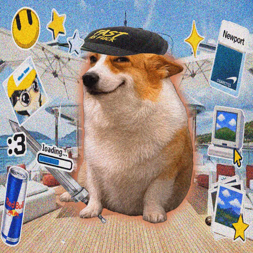 Cash Dogs #9872
