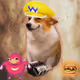 5886