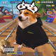 Cash Dogs #2064