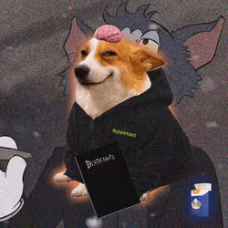 Cash Dogs #4576