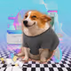 3983