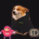 3922