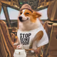 8216